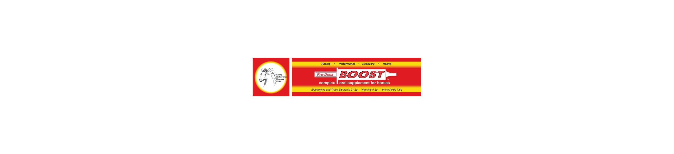 BOOST ORAL PASTE FOR HORSES 80ML