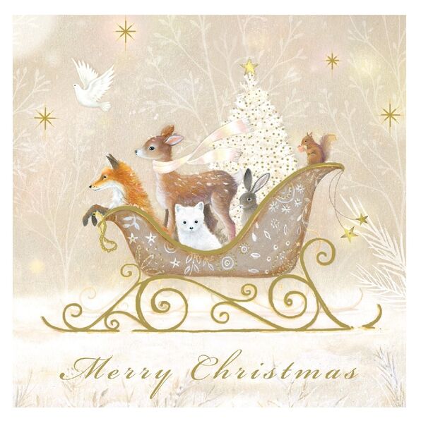 Cardpac Peter Mac Xmas Sleigh Boxed Charity Christmas Cards