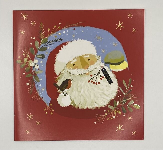 Henderson Santa Little Robin Charity Christmas Boxed Cards